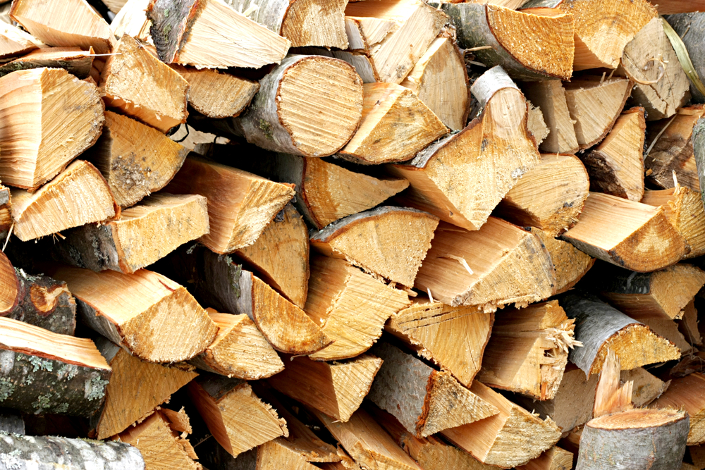 Puteți achiziționa lemne de foc cu folosirea bonurilor de energie